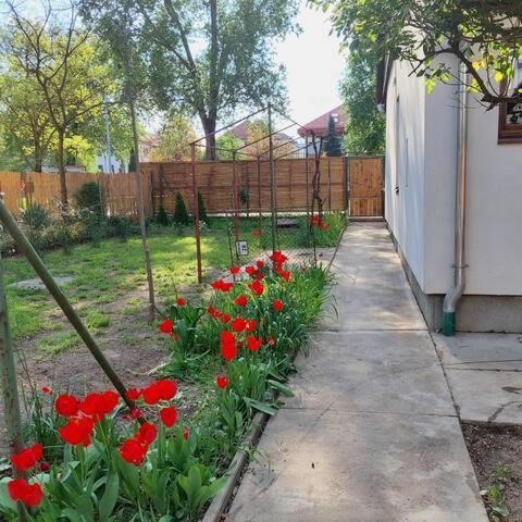 Ujszeged Apartman Extérieur photo